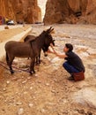 Donkeys on the streets of Todgha Gorge, Morocco Royalty Free Stock Photo