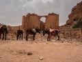 Donkeys waiting for Tourists in the ancient city of Petra, Jordan Royalty Free Stock Photo