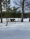 Donkeys in the winter, sweden Donkey,  forest, woods, two, horse, snow, sweden, Royalty Free Stock Photo