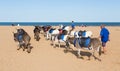 Donkies from Donkey Rides on Skegness Beach, Linclolnshire, England. Royalty Free Stock Photo