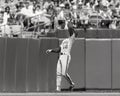 Donnie Hill, California Angels Royalty Free Stock Photo