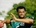 Donovan McNabb Philadelphia Eagles Royalty Free Stock Photo