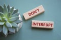 Dont interrupt symbol. Concept word Dont interrupt on wooden blocks. Beautiful grey green background with succulent plant.