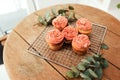 Dont they look yummy. neatly arranged and freshly baked cupcakes on a metal tray for a blog post. Royalty Free Stock Photo