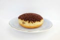 Donut with chocolate sprinkles Royalty Free Stock Photo