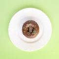 Donut covered with chocolate glaze and sprinkled with green tubes on white plate