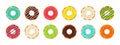 Donut and cupcake. Doughnut with chocolate and glazed. Sweet cake for dessert. Cartoon icons of donuts with icing isolated on