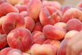 Donut Peaches, Prunus persica Royalty Free Stock Photo