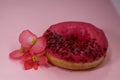 Donut With Pink Icing And Colored Sprinkles,