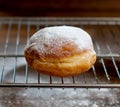 Donut with powder sugar against dark background