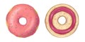 Donuts digital Illustration.