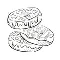 Donuts with glaze and candies, cream and sweetmeats sprinkling. Sweet beautiful dessert. Clipart for a restaurant or