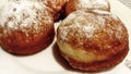 Donuts with powdered sugar Royalty Free Stock Photo