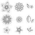 Doodle art flowers. Hand drawn herbal design elements