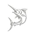 Atlantic Blue Marlin Doodle