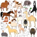Doodle of Asian breed domestic animals Royalty Free Stock Photo