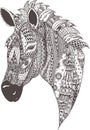 doodle black and white drawing of a horse head Royalty Free Stock Photo