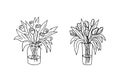 Doodle bouquetshand drawn flowers.Floral sketch, drawing, still life.Romantic bunches,gift to holiday.Botanical illustration.