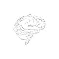 Doodle brain Royalty Free Stock Photo