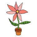 Bright cartoon doodle flower in pot isolated on white background. Royalty Free Stock Photo