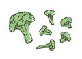 Doodle cabbage broccoli. Hand drawn stylish fruit and vegetable. Vector artistic drawing fresh organic food. Summer illustration Royalty Free Stock Photo