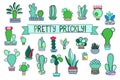 Doodle cactus and succulent clipart. Potted cactus and succulents icons.