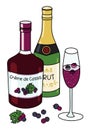 Doodle cartoon kir royal cocktail and ingredients composition. A bottle of brut sparkling wine, Creme de Cassis