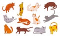 Doodle cat. Funny home animal sticker with simple sketch. Happy sitting staying and lying cats, cute outline kitten