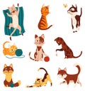 Doodle cats. Cute and funny pets vector set. Cartoon kitten characters design collection color in different style and Royalty Free Stock Photo