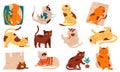 Doodle cats. Funny home pets walking sleeping playing and stretching, purebred cartoon domestic animals collection