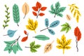 doodle colored autumn leaves