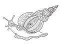 Doodle coloring book page snail. Black and white vector zentangle illustration. Royalty Free Stock Photo