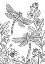 Doodle coloring dragonflies flying in flowers. Black and white zentangle vector illustration. Royalty Free Stock Photo