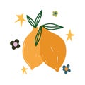 Doodle contemporary, lemons citrus fruit flowers stars decoration Royalty Free Stock Photo