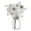 Doodle cute flower in jar. Monochrome sketch beautiful decorative plant image stock vector illustration