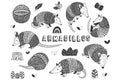 Doodle Cute Little Armadillos Collections Set Royalty Free Stock Photo