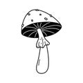 Doodle death cap mushroom, amanita icon. Hand drawn sketch linear fly agaric vector illustration. Line art forest plant Royalty Free Stock Photo