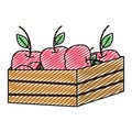 Doodle delicious apples fruits inside wood basket