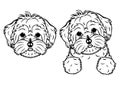 Doodle dog head and peeking line art design