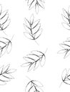 Doodle drawing style image of black and white walnut leaf seamless background, vector illustration