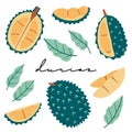 Doodle durian vector set Royalty Free Stock Photo