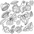 Doodle fantasy insects and nature elements for design