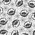 Doodle floral background in vector with doodles black and white coloring page of poppy flowers Royalty Free Stock Photo