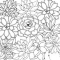 Doodle floral background in vector with doodles black and white coloring page of succulents Royalty Free Stock Photo