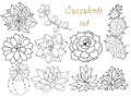 Doodle floral background in vector with doodles black and white coloring page of succulents. Set of tropical plants Royalty Free Stock Photo