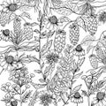 Doodle floral camomile background in vector with doodles black and white coloring page