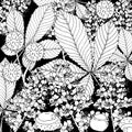 Doodle floral chestnut background in vector with doodles black and white coloring page