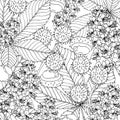 Doodle floral chestnut background in vector with doodles black and white coloring page Royalty Free Stock Photo