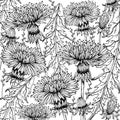 Doodle floral dandelion background in vector with doodles black and white coloring page Royalty Free Stock Photo