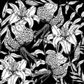 Doodle floral lily background in vector with doodles black and white coloring page Royalty Free Stock Photo